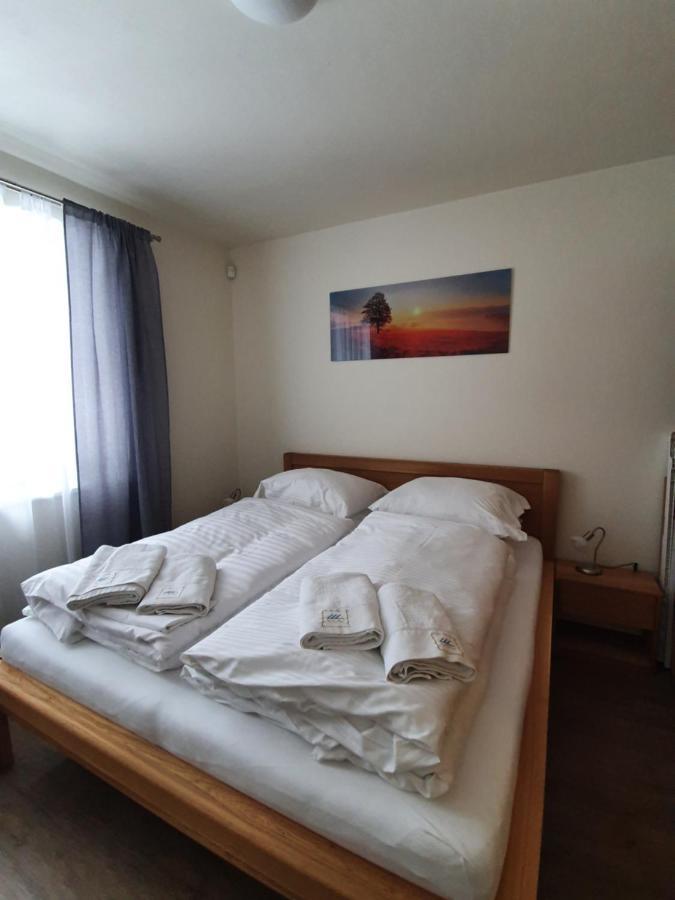 Apartman Praded V Rickach - Ricky V Orlickych Horach Buitenkant foto